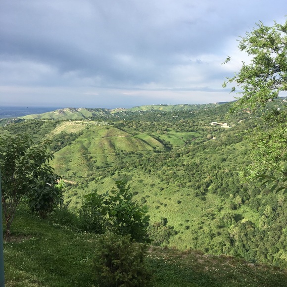 Meet your Posher, Rano - Picture 2 of 2